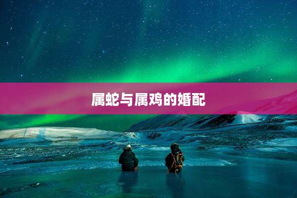 属蛇与属鸡的婚配