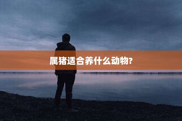 属猪适合养什么动物?