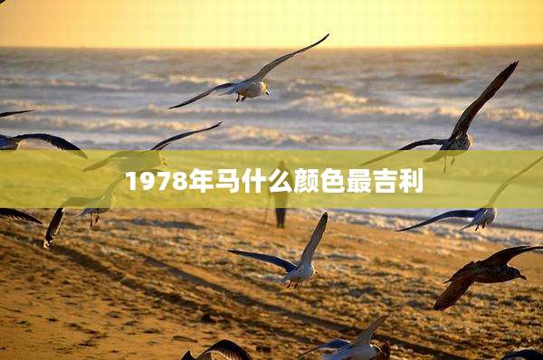 1978年马什么颜色最吉利