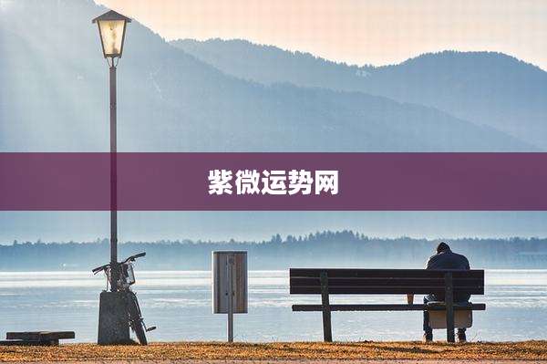 紫微运势网