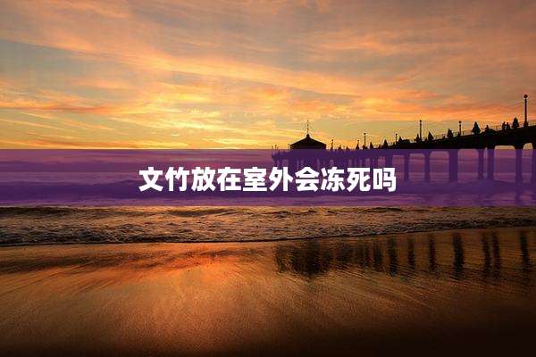 文竹放在室外会冻死吗