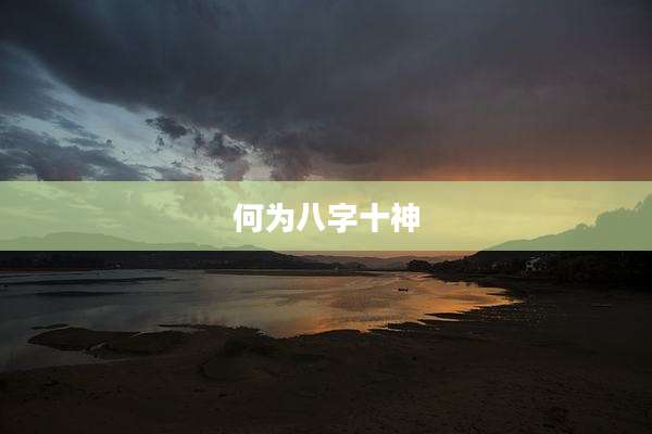 何为八字十神