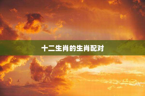 十二生肖的生肖配对