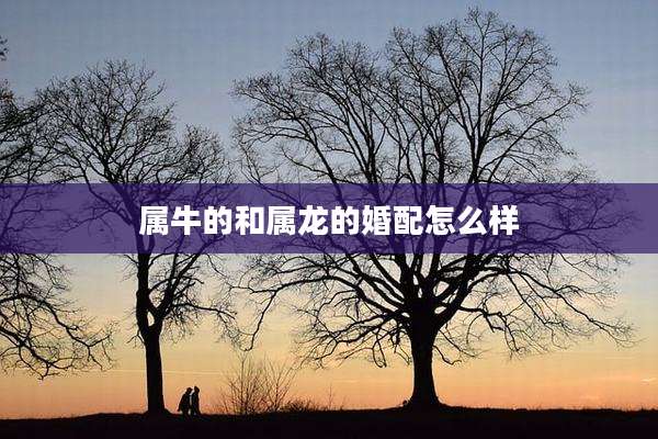 属牛的和属龙的婚配怎么样