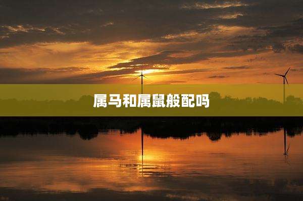 属马和属鼠般配吗