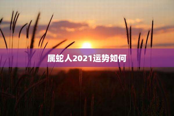 属蛇人2021运势如何