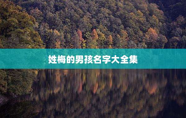 姓梅的男孩名字大全集