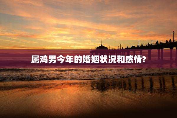 属鸡男今年的婚姻状况和感情?