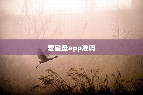 爱星盘app准吗