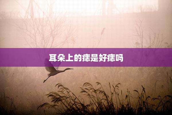 耳朵上的痣是好痣吗
