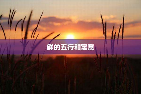 鲜的五行和寓意