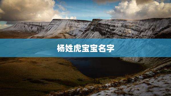 杨姓虎宝宝名字