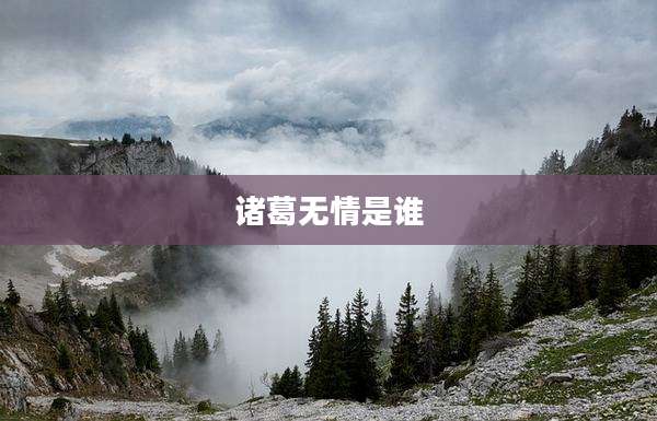 诸葛无情是谁