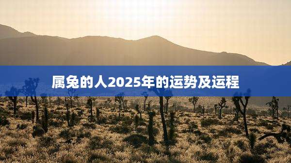 属兔的人2025年的运势及运程