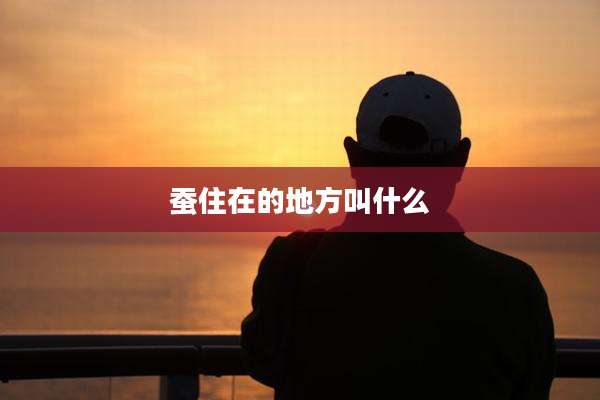 蚕住在的地方叫什么