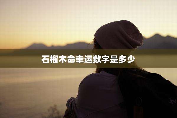石榴木命幸运数字是多少