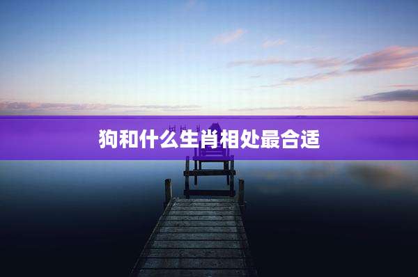 狗和什么生肖相处最合适