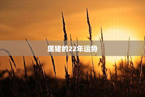 属猪的22年运势