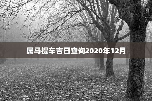 属马提车吉日查询2020年12月
