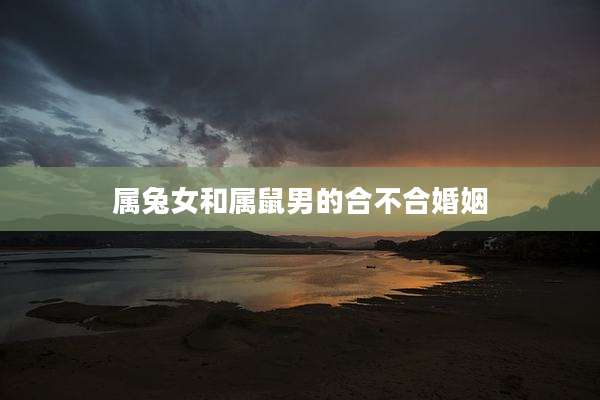 属兔女和属鼠男的合不合婚姻