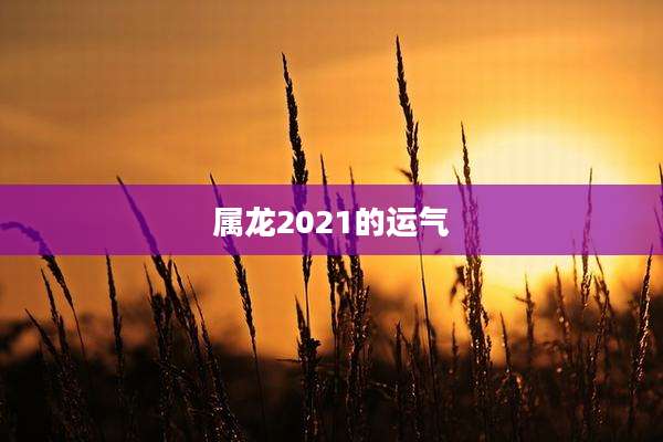 属龙2021的运气
