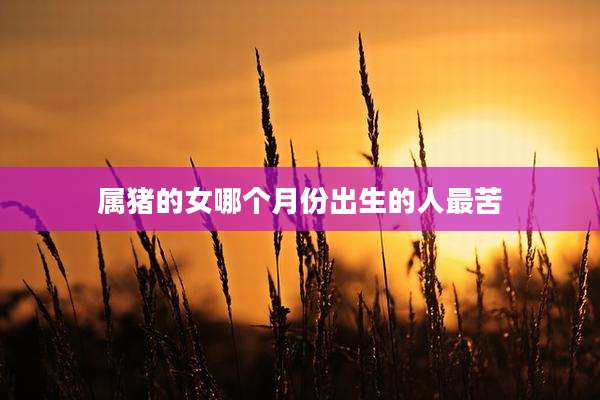 属猪的女哪个月份出生的人最苦
