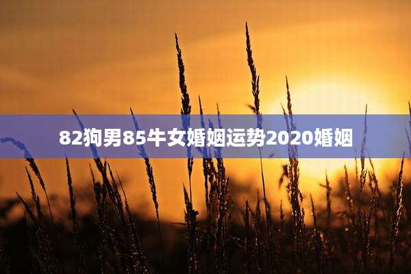 82狗男85牛女婚姻运势2020婚姻