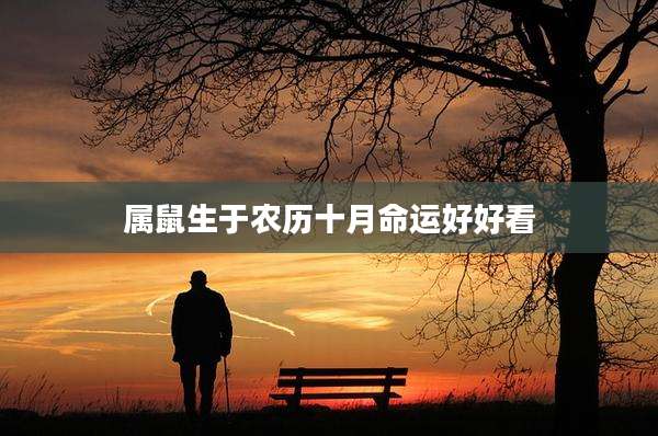 属鼠生于农历十月命运好好看
