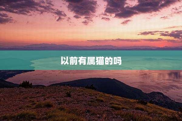以前有属猫的吗