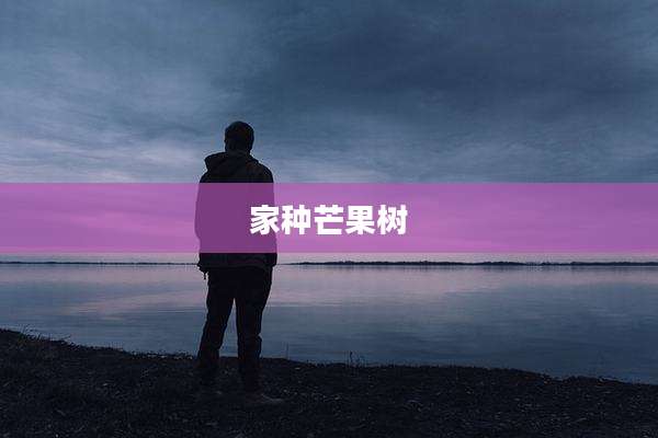 家种芒果树