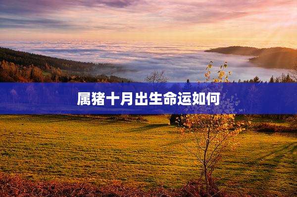 属猪十月出生命运如何