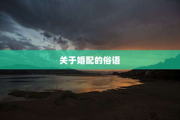关于婚配的俗语