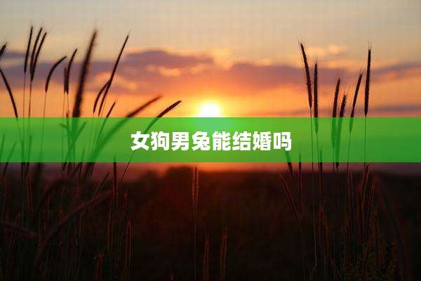 女狗男兔能结婚吗