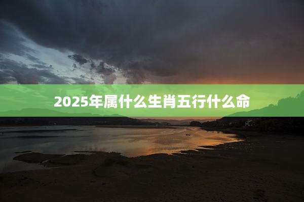 2025年属什么生肖五行什么命