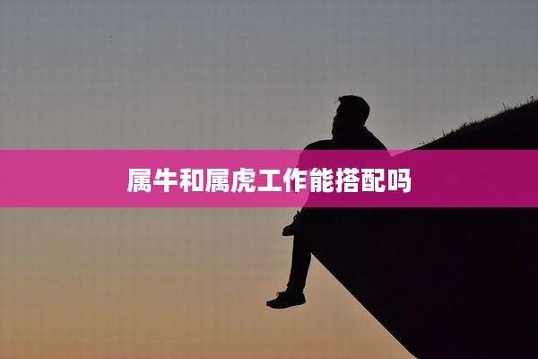 属牛和属虎工作能搭配吗