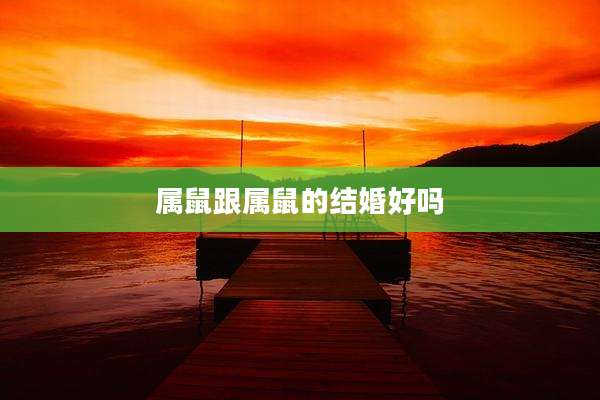 属鼠跟属鼠的结婚好吗