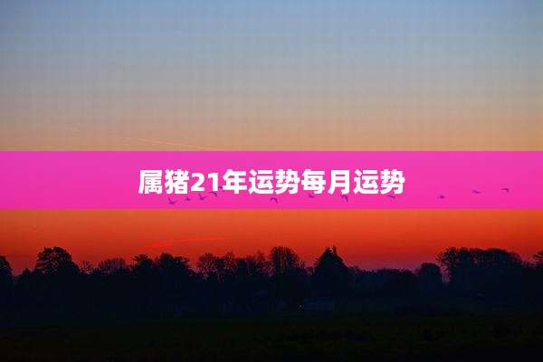 属猪21年运势每月运势