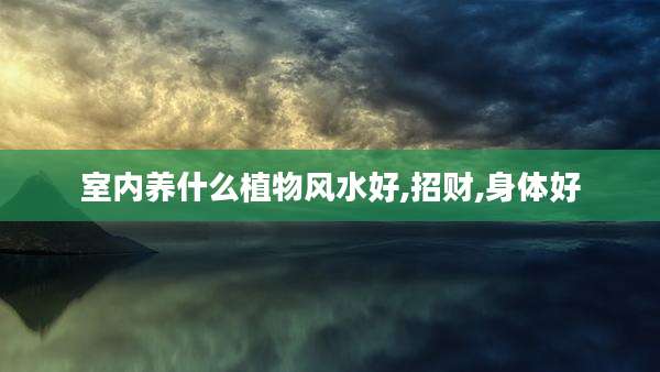 室内养什么植物风水好,招财,身体好