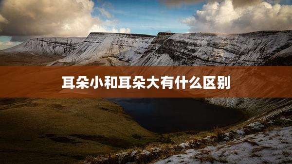 耳朵小和耳朵大有什么区别