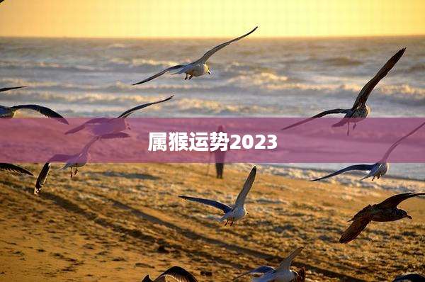 属猴运势2023