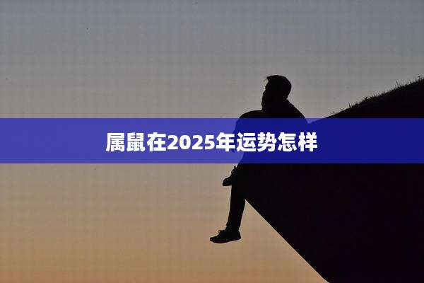 属鼠在2025年运势怎样