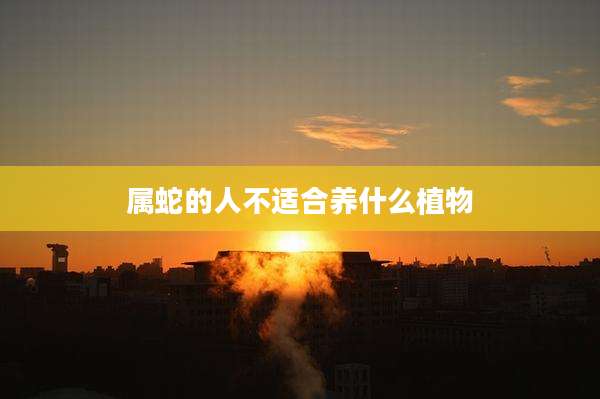 属蛇的人不适合养什么植物