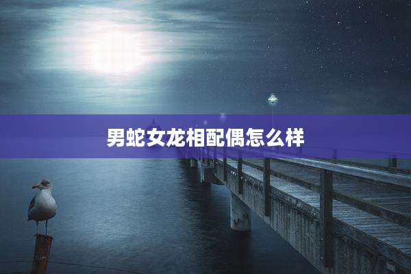 男蛇女龙相配偶怎么样