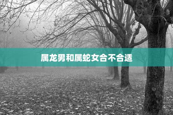 属龙男和属蛇女合不合适