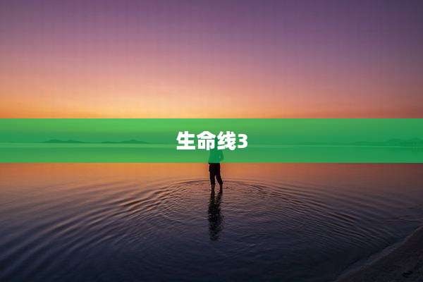 生命线3