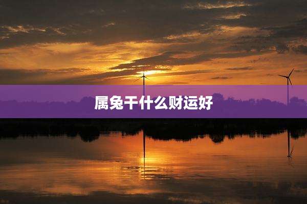属兔干什么财运好