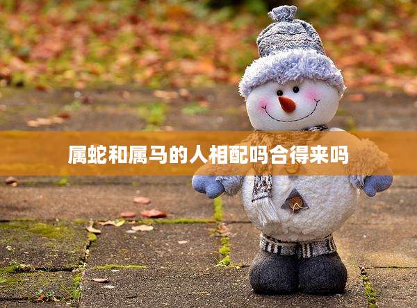 属蛇和属马的人相配吗合得来吗