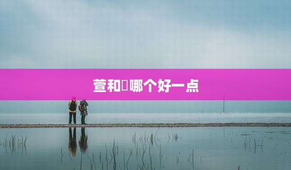 萱和瑄哪个好一点