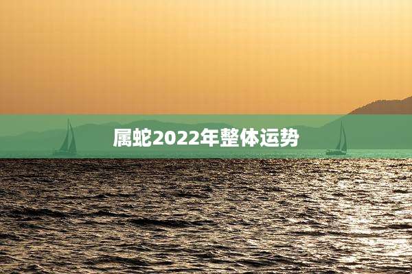 属蛇2022年整体运势