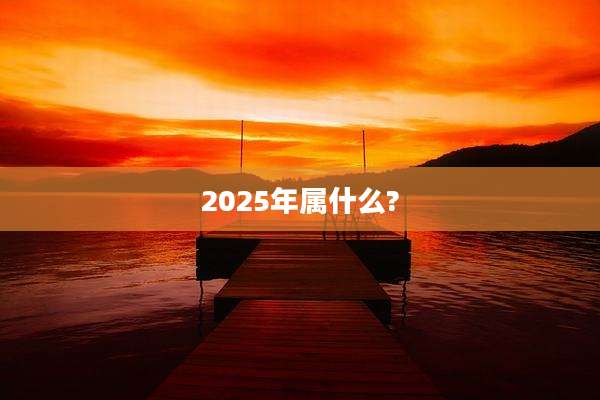 2025年属什么?